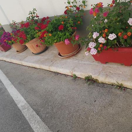 فيلا Trullo Chiancola Antica ألبيروبيللو المظهر الخارجي الصورة